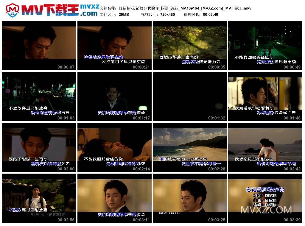 陈绍楠-忘记放弃我的你_国语_流行_MA109164